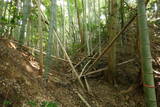 山本城写真