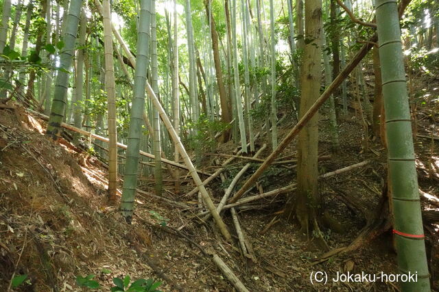 豊前 山本城の写真