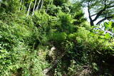 豊前 山本城の写真