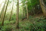 豊前 山本城の写真