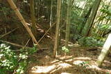 豊前 山本城の写真