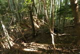 豊前 山本城の写真