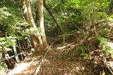 豊前 山本城の写真