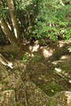 豊前 山本城の写真