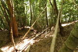 豊前 山本城の写真
