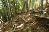 豊前 山本城の写真