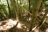 豊前 山本城の写真
