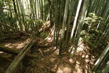 豊前 山本城の写真