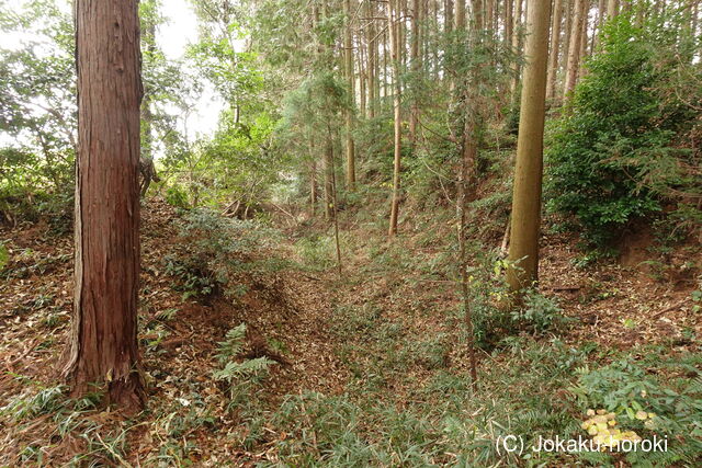 豊前 山本切寄の写真