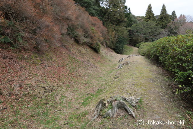 筑後 毘沙門岳城(別所城)の写真