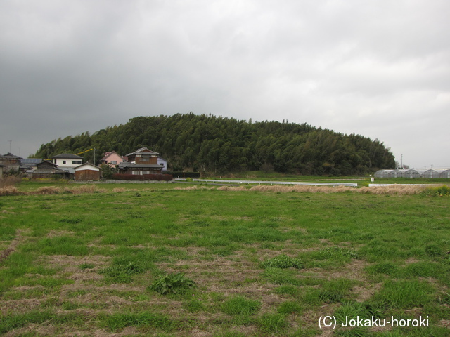 筑後 知徳城の写真