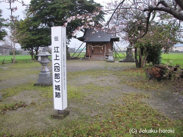 筑後 江上城Iの写真