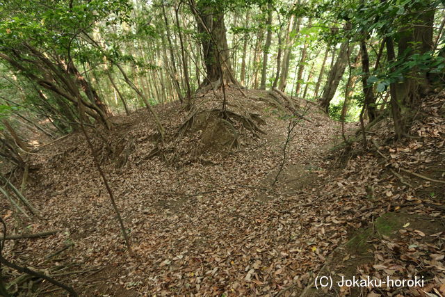 筑後 発心城(上・中・下城)の写真