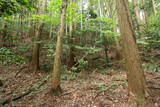 筑後 発心城(上・中・下城)の写真