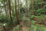 筑後 発心城(上・中・下城)の写真