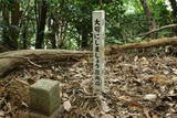 筑後 発心城(上・中・下城)の写真