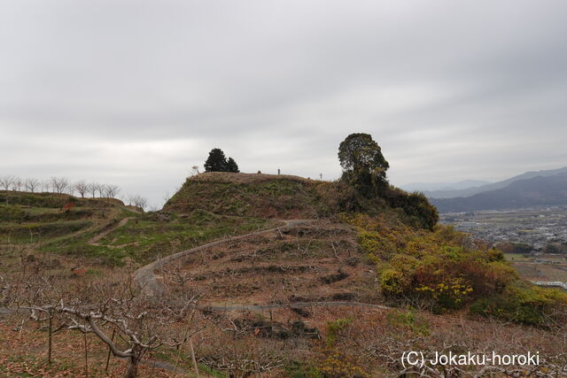 筑後 井上城の写真
