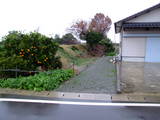 筑後 犬塚城の写真