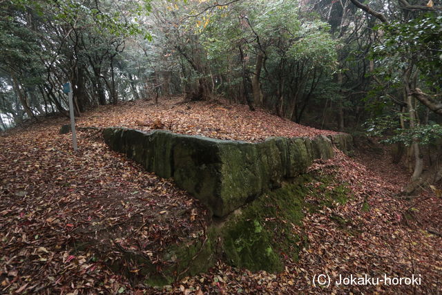 筑後 高良山神篭石の写真