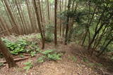 筑後 小田城の写真