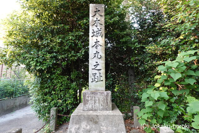 筑後 大木城の写真