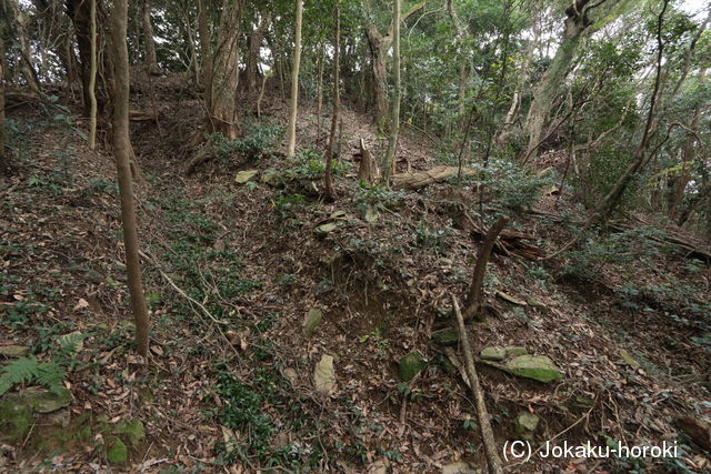 筑後 杉ノ城(住厭城)の写真