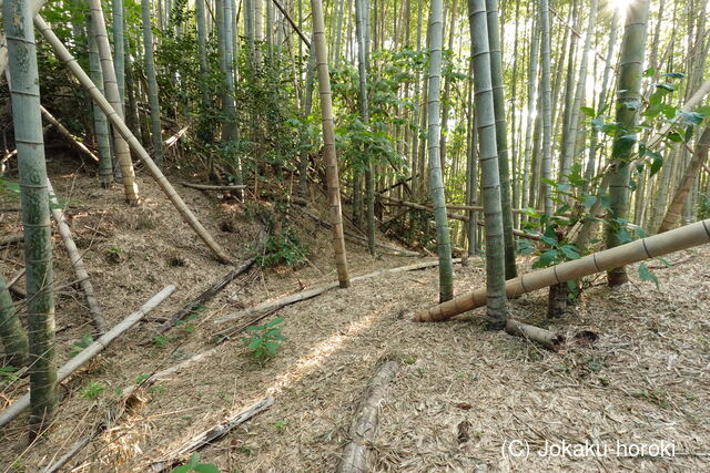 筑後 田尻城の写真