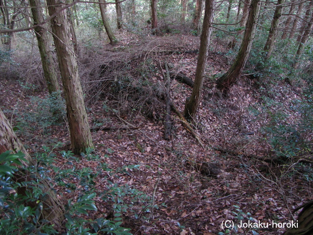 筑後 高井岳城の写真