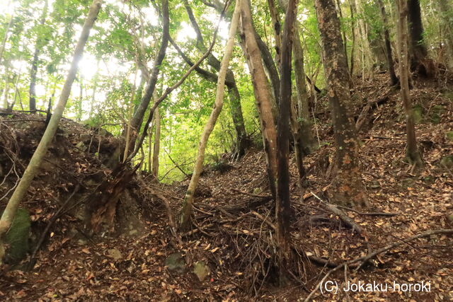 筑後 高屋城の写真