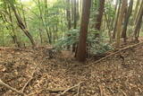 筑後 竹井城の写真