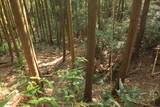 筑後 竹井城の写真