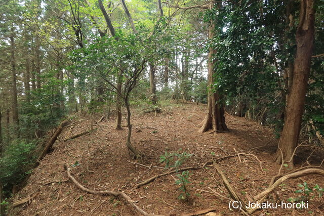 筑後 竹井城(物見櫓)の写真