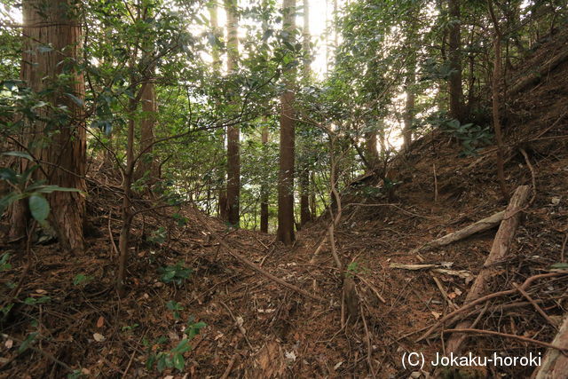 筑後 山ノ中城の写真