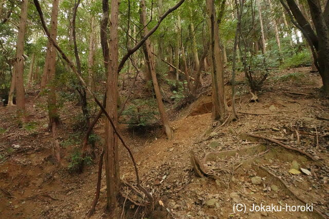 筑後 安山城の写真