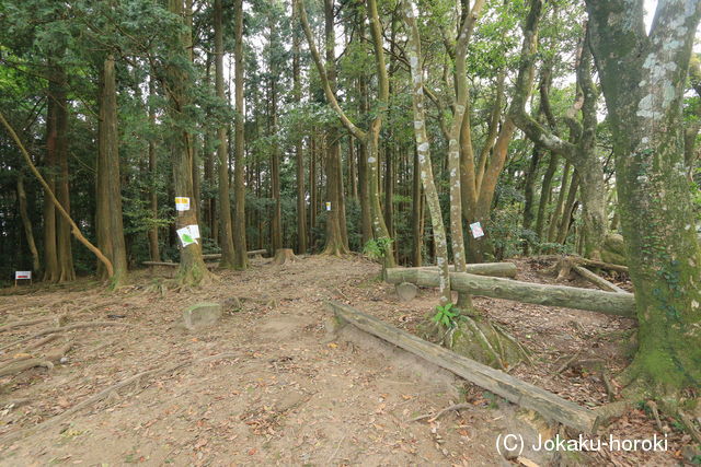 筑前 油山城Aの写真