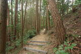 筑前 油山城Aの写真