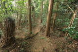 筑前 油山城Aの写真