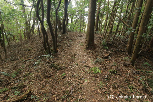 筑前 油山城Bの写真