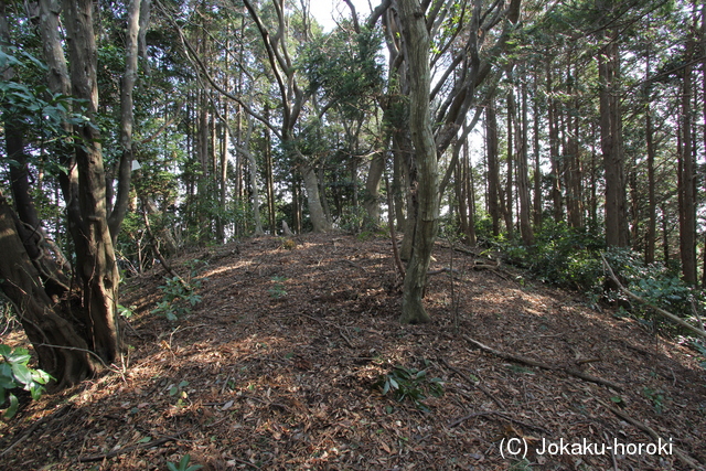 筑前 茶臼山城3(飯塚市)の写真