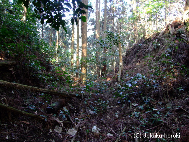 筑前 荒平城の写真