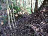 筑前 荒平城の写真