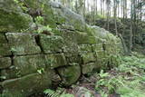 筑前 阿志岐山城の写真