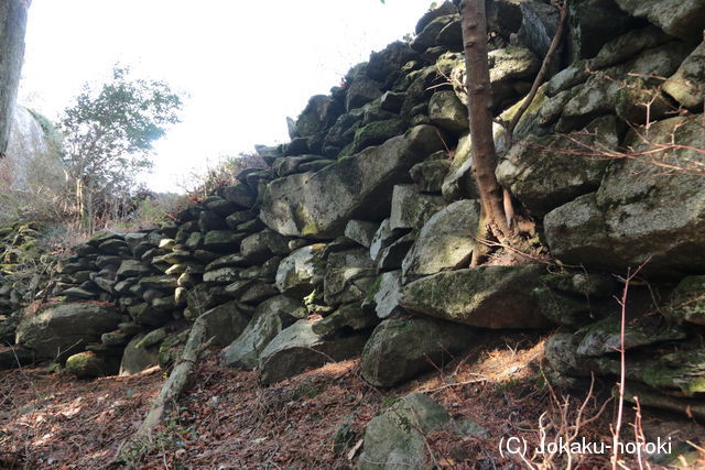 筑前 深江岳城の写真