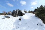 筑前 深江岳城の写真