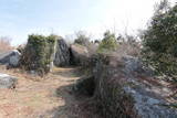 筑前 深江岳城の写真