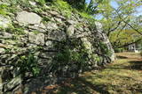 筑前 福岡城の写真