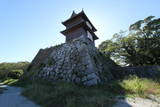 筑前 福岡城の写真