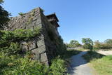 筑前 福岡城の写真