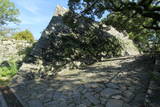 筑前 福岡城の写真