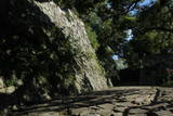 筑前 福岡城の写真